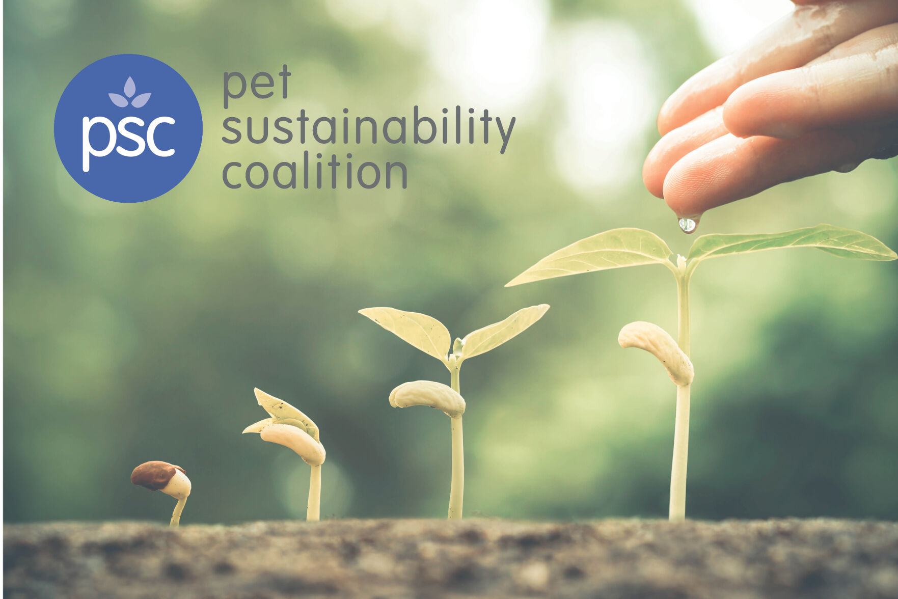 Pet Sustainability Coalition Welcomes New Board and Staff Members